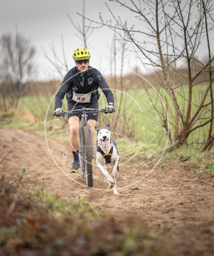 DV3A9212 | Hundefotografie, Tierfotograf, Pfotenfotografie, Fotoshooting Hund, Hunde Portrait, Hundesport, Hundeportraits, Heideshooting, Hunde, Sportfotograf, Hundefotograf, Turnierhundsport, THS,  - Realisiert mit Pictrs.com