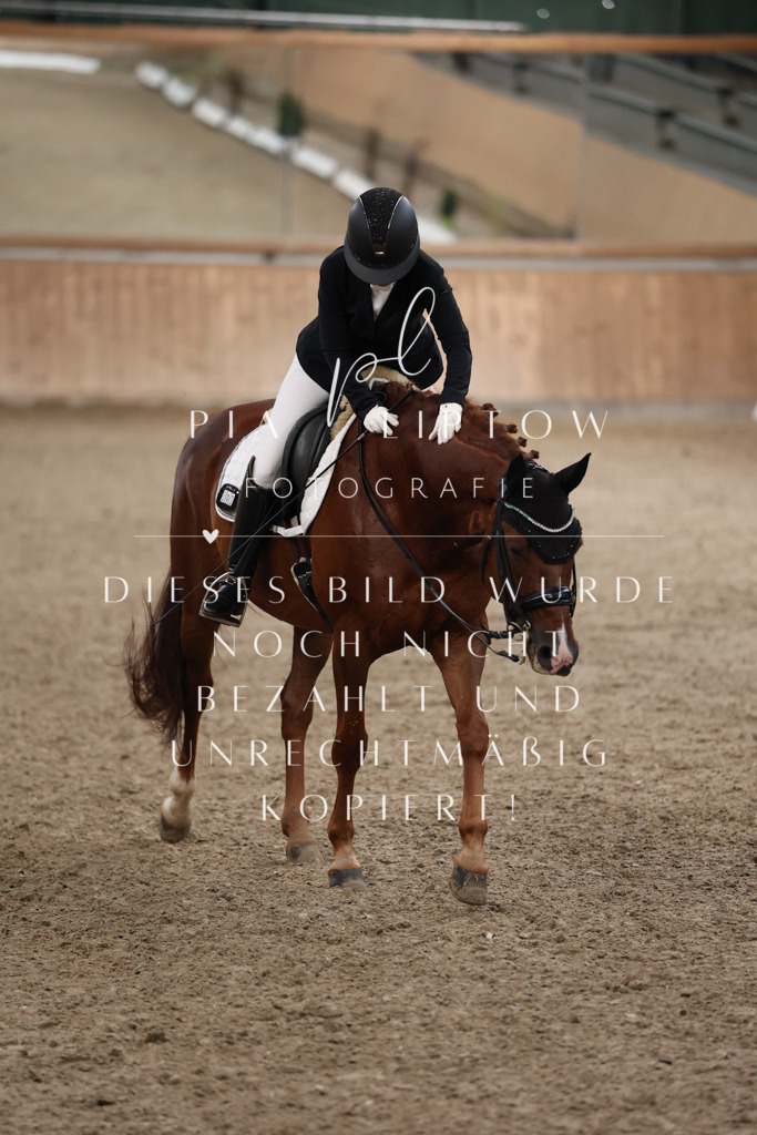 IMGM0937 | pl-fotografie