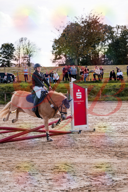 2026_10_03_Siefer-Hof_145246_Z81_31815258 | Professionelle Reitsport-, Turnier- und Eventfotografie von Robert Broda. Galerien mit ausgewählten und bearbeiteten Bildern direkt online ansehen und bestellen.