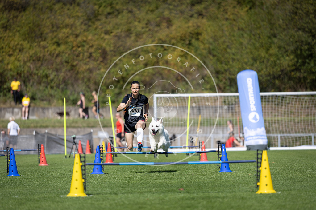 Pfotenfotografie_DV3A7749 | Hundefotografie, Tierfotograf, Pfotenfotografie, Fotoshooting Hund, Hunde Portrait, Hundesport, Hundeportraits, Heideshooting, Hunde, Sportfotograf, Hundefotograf, Turnierhundsport, THS,  - Realisiert mit Pictrs.com