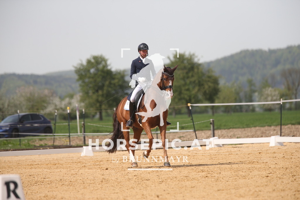 AS8V6888 | Willkommen bei Brunnmayr - Design & Fotografie – Ihrem Spezialisten für Reitturniere und Pferdeveranstaltungen in Oberösterreich, Salzburg und Bayern! Seit über 17 Jahren sind wir leidenschaftlich dabei.
