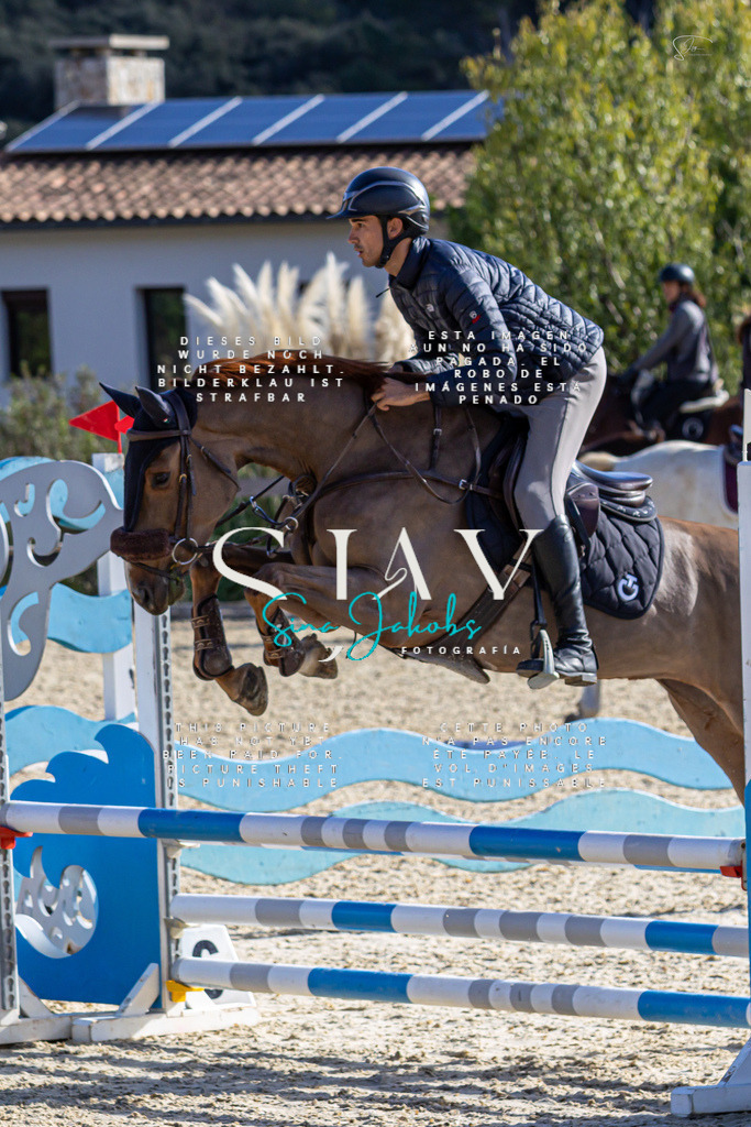 IMG_0520 | s-jay-photography - Realisiert mit Pictrs.com