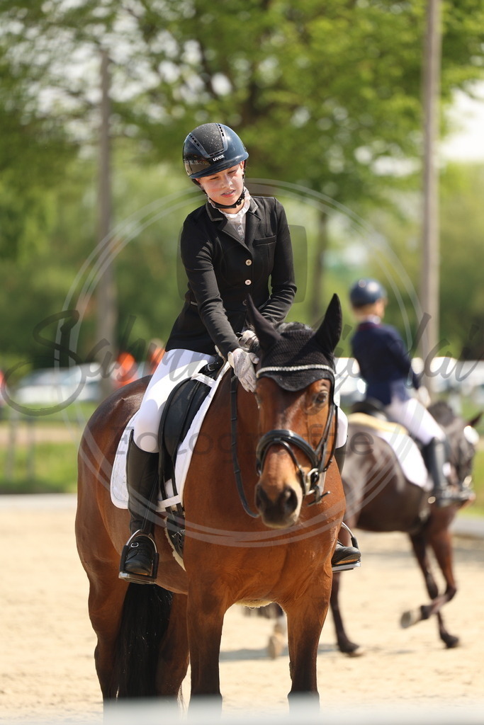 994A7171 | sabrinanicolaifotografie - Realisiert mit Pictrs.com