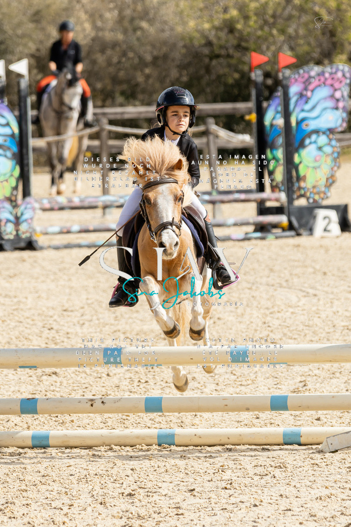 IMG_4452 | s-jay-photography - Realisiert mit Pictrs.com