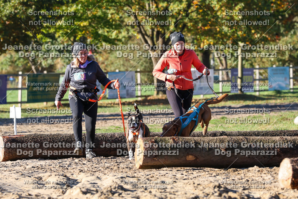 Dog Paparazzi - Strongdog 10-25-1379 | Dog Paparazzi Jeanette Grottendiek Fotografie & Videografie - Realisiert mit Pictrs.com