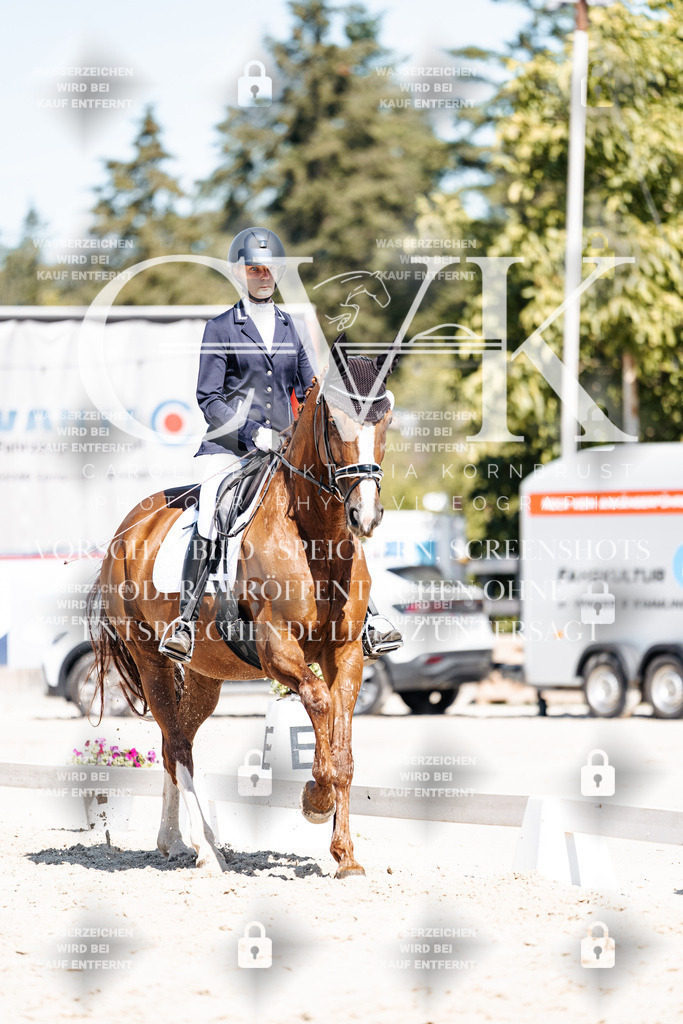 CK909351 | Turnierfotografie Pferdefotografie Trier Rheinland-Pfalz Pferdesport Reitsport Tierfotografie Sportfotografie Pferdevideo Pferdevideografie Equestrianvideography equestrianphotography  - Realisiert mit Pictrs.com