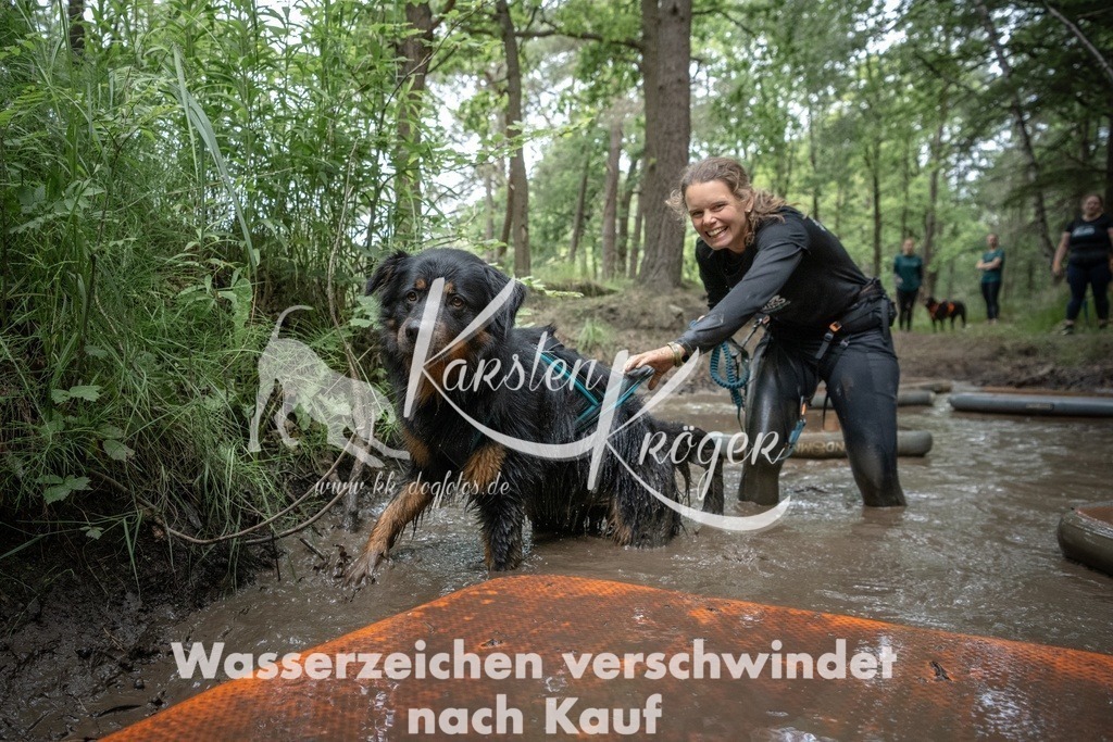 1227_ZZ99295T | kk-dogfotos