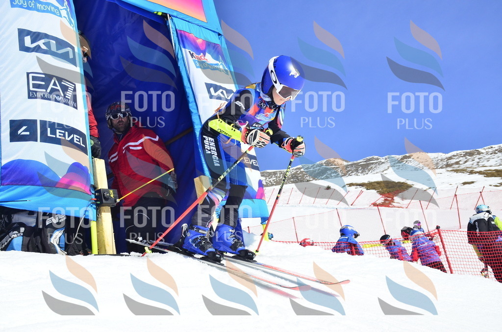 _ELE0275 | holidayphoto