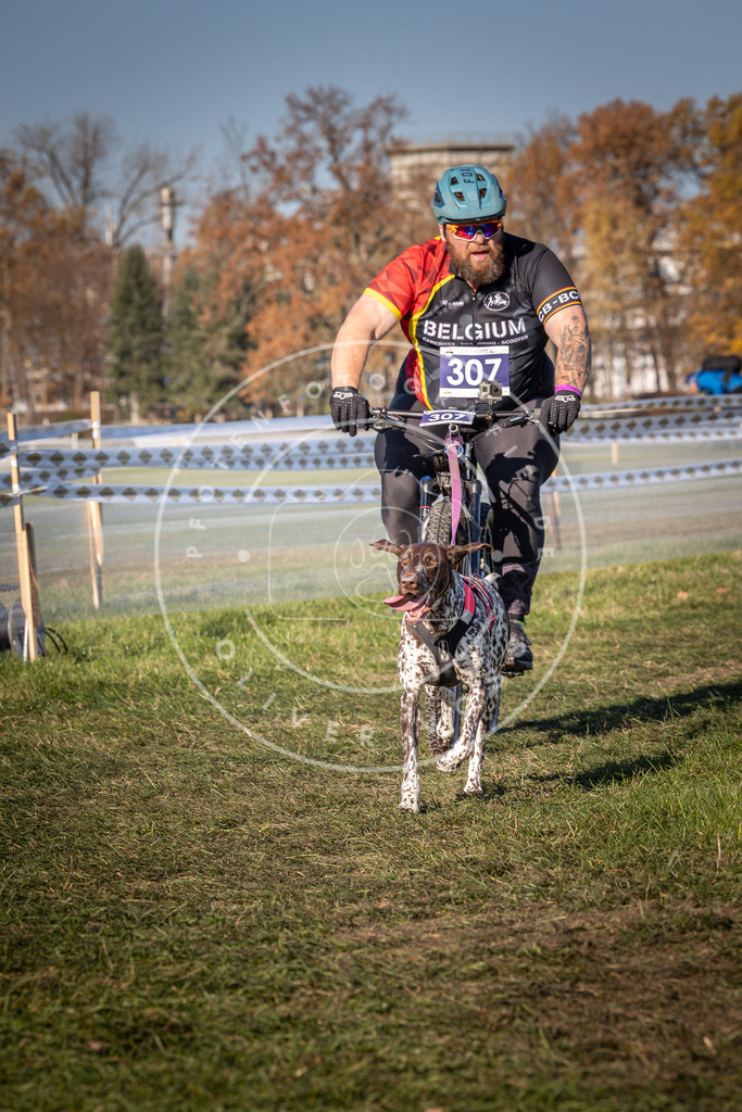 CaniXpix_0L8A5571 | Hundefotografie, Tierfotograf, Pfotenfotografie, Fotoshooting Hund, Hunde Portrait, Hundesport, Hundeportraits, Heideshooting, Hunde, Sportfotograf, Hundefotograf, Turnierhundsport, THS,  - Realisiert mit Pictrs.com
