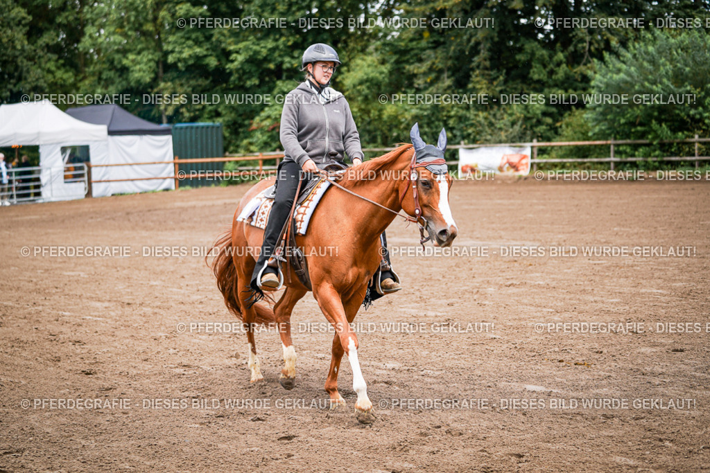 DSC05630 | Pferdegrafie