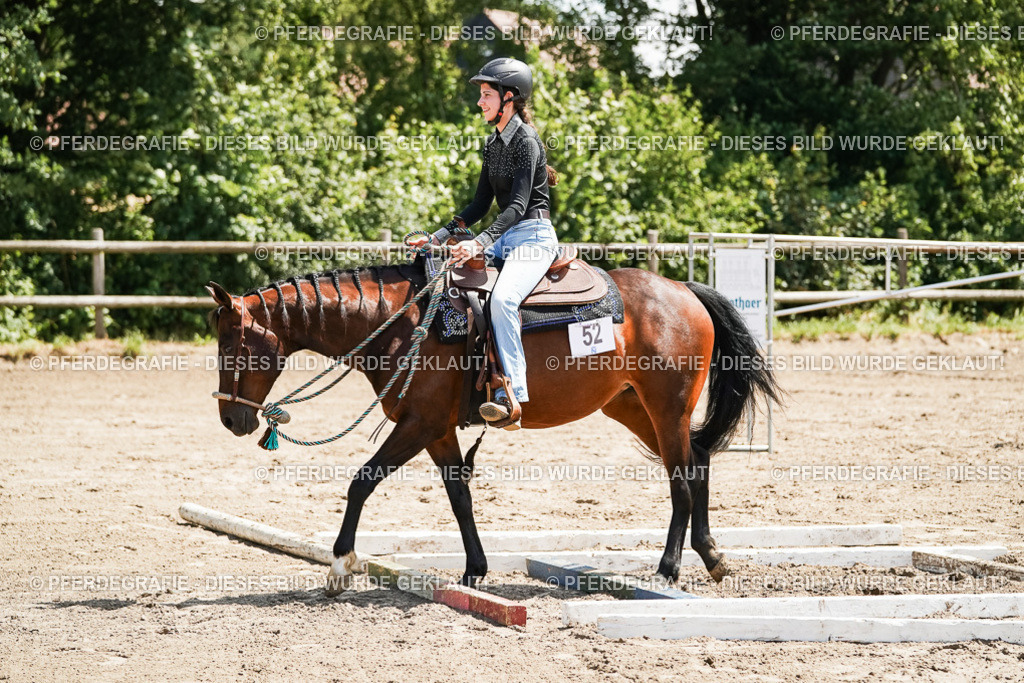 DSC07607 | Pferdegrafie