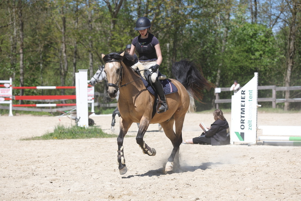 0P6A8809 | Willkommen bei Brunnmayr - Design & Fotografie – Ihrem Spezialisten für Reitturniere und Pferdeveranstaltungen in Oberösterreich, Salzburg und Bayern! Seit über 17 Jahren sind wir leidenschaftlich dabei.