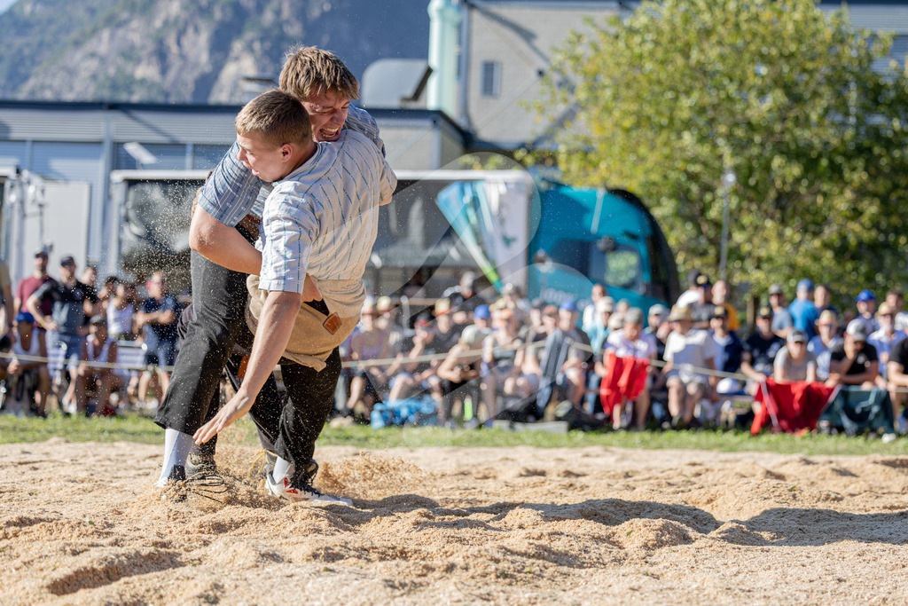 TESSINER2025_06_Gang_1395 | Die Schwinger des Schwyzer Kantonalen Schwingerverbandes: Fotos, die Dynamik und Leidenschaft festhalten, sowie emotionale Momente aus dem traditionellen Schwingsport zeigen. - Realisiert mit Pictrs.com