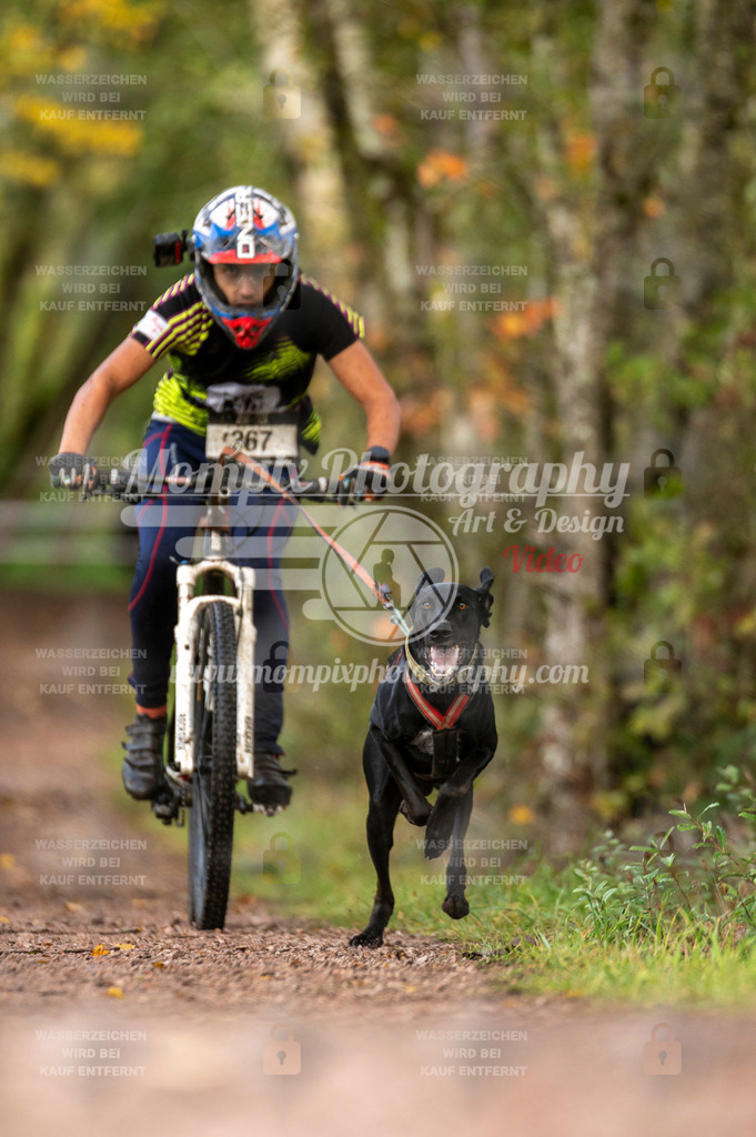 TSB_2023_E4_Bike-25 | PayLife