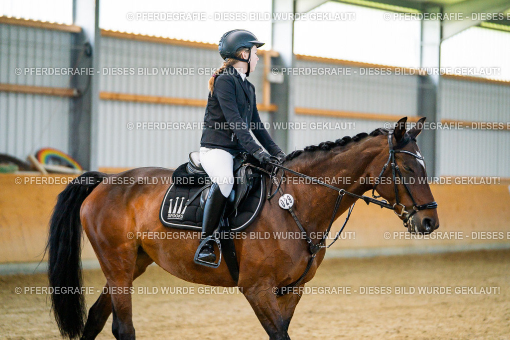 DSC00634 | Pferdegrafie