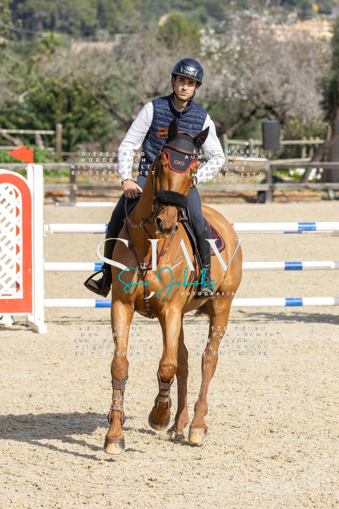 IMG_4430 | s-jay-photography - Realisiert mit Pictrs.com