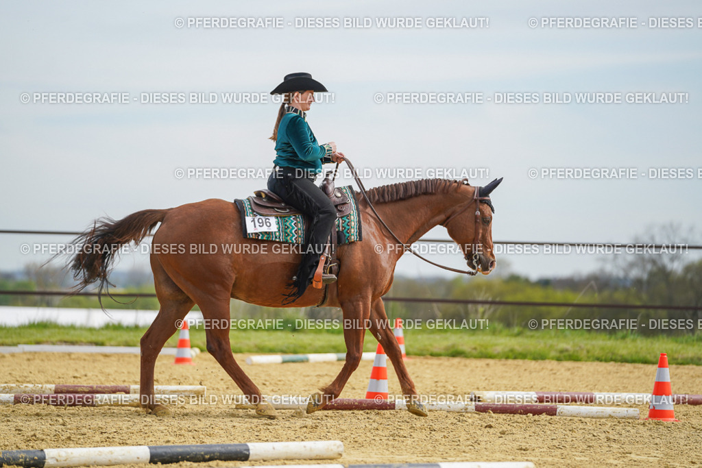 DSC03637 | Pferdegrafie