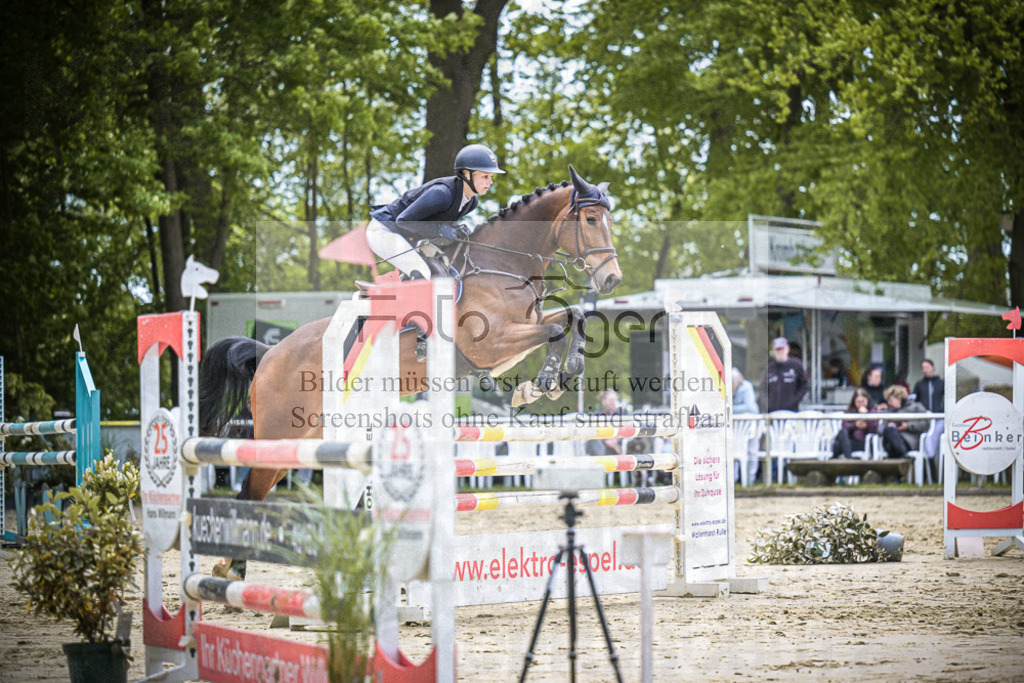 DOS_7548 | Entdecke hochwertige Reitturnierfotos von Foto Oger. Professionell, emotional und authentisch – jetzt Lieblingsmomente im Shop bestellen.Deutschlandweite Turnierfotografie. - Realisiert mit Pictrs.com