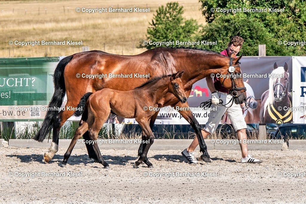 2A906577 | foto-team-bernhard - Realisiert mit Pictrs.com