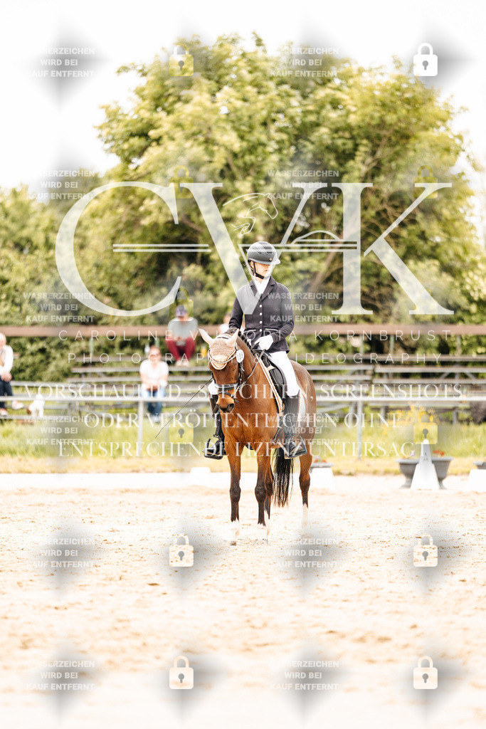 CK903630 | Turnierfotografie Pferdefotografie Trier Rheinland-Pfalz Pferdesport Reitsport Tierfotografie Sportfotografie Pferdevideo Pferdevideografie Equestrianvideography equestrianphotography  - Realisiert mit Pictrs.com