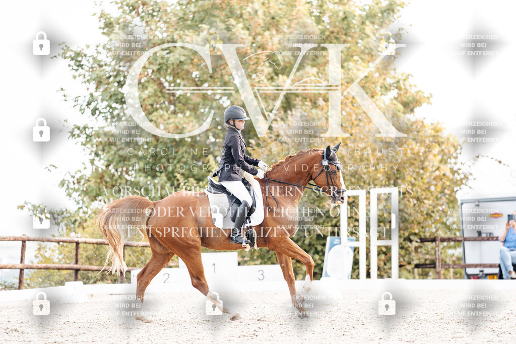 CK901332 | Turnierfotografie Pferdefotografie Trier Rheinland-Pfalz Pferdesport Reitsport Tierfotografie Sportfotografie Pferdevideo Pferdevideografie Equestrianvideography equestrianphotography  - Realisiert mit Pictrs.com