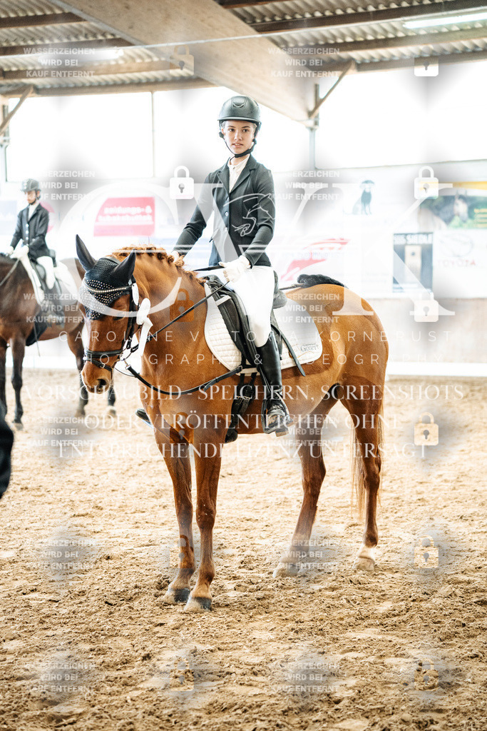 CK703117 | Turnierfotografie Pferdefotografie Trier Rheinland-Pfalz Pferdesport Reitsport Tierfotografie Sportfotografie Pferdevideo Pferdevideografie Equestrianvideography equestrianphotography  - Realisiert mit Pictrs.com