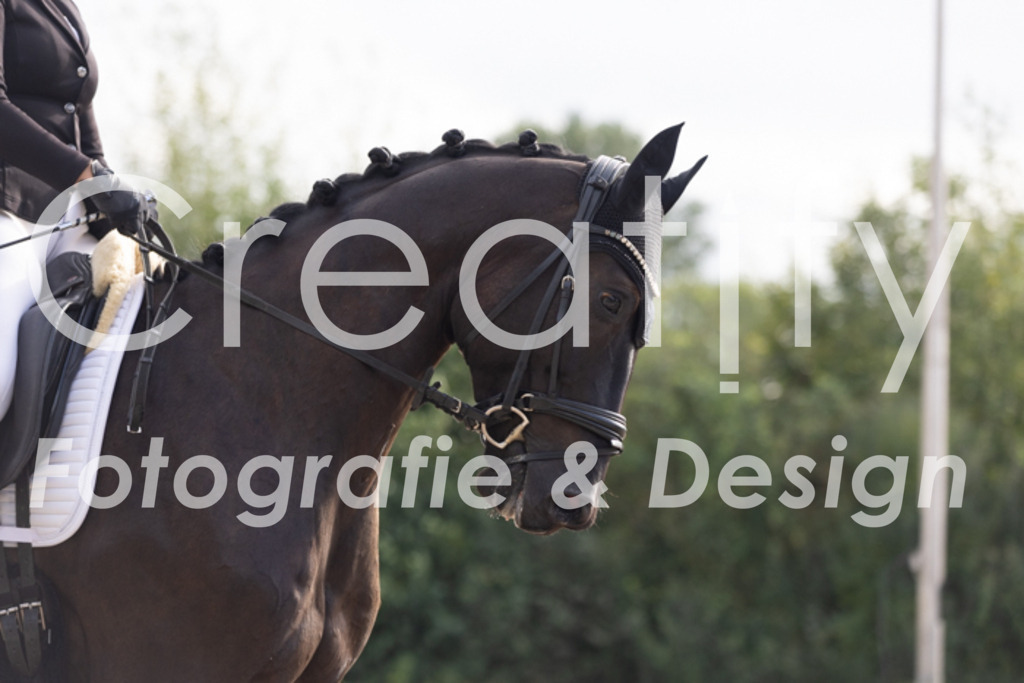 IMG_0306 | Creatify Fotografie