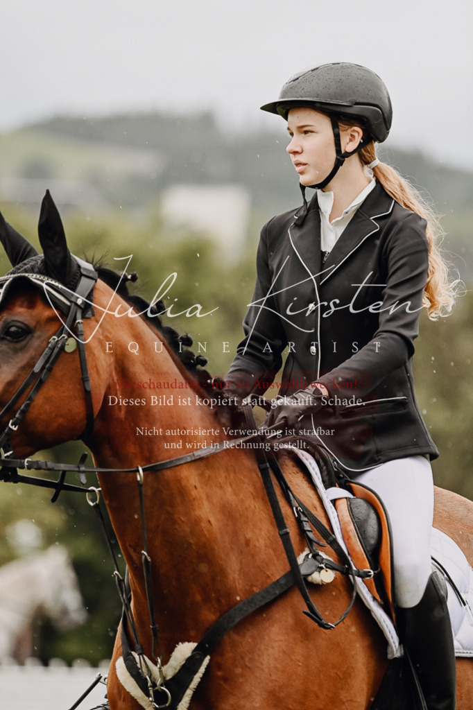 DSC_7000 | Pferde- und Turnierfotografie in Westsachsen. Pferdeportraits, Auftragszeichnungen und intuitive Kunst.