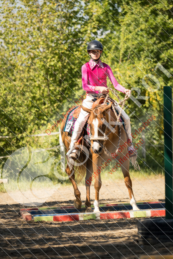 IMG_7748 | Sport-, Event- und Tierfotos in Profiqualität. Einfach auswählen, bestellen und herunterladen. Dein Moment – perfekt festgehalten.