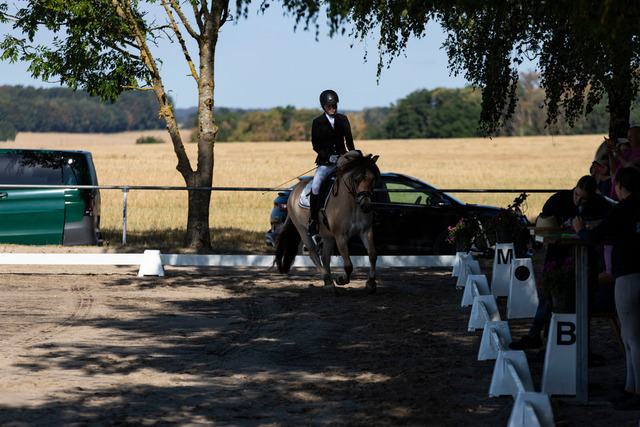 IMG_3194_nachbearbeitet_sepia | normansfotografie - Realisiert mit Pictrs.com