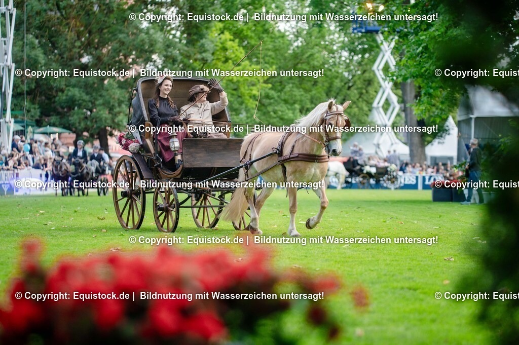 20250606_Lange-Pferdenacht_0144 | Foto: Thomas Hartig