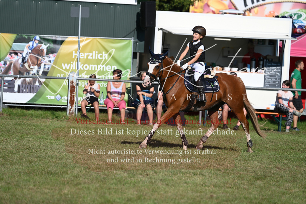 DSC_4947 | Pferde- und Turnierfotografie in Westsachsen. Pferdeportraits, Auftragszeichnungen und intuitive Kunst.
