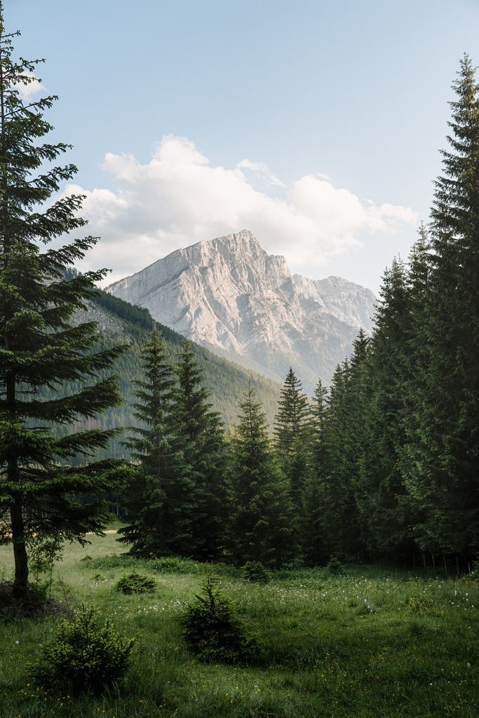 Planspitze im Gesäuse | Waldblick Richtung Planspitze und Ödstein im Gesäuse - Realisiert mit Pictrs.com