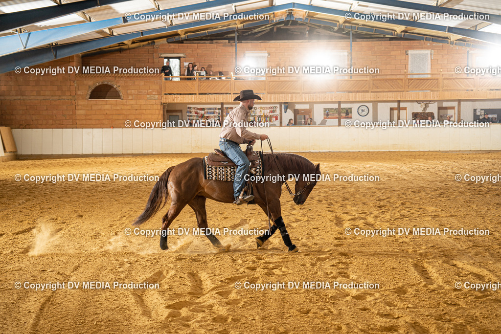 MIT00431 | dv-media-shop - Realisiert mit Pictrs.com