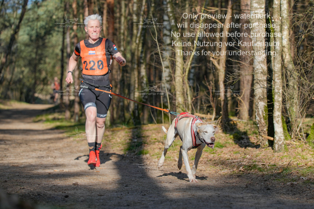 Sa_CC_lang-157 | stephaniefillaphotographie - Realisiert mit Pictrs.com