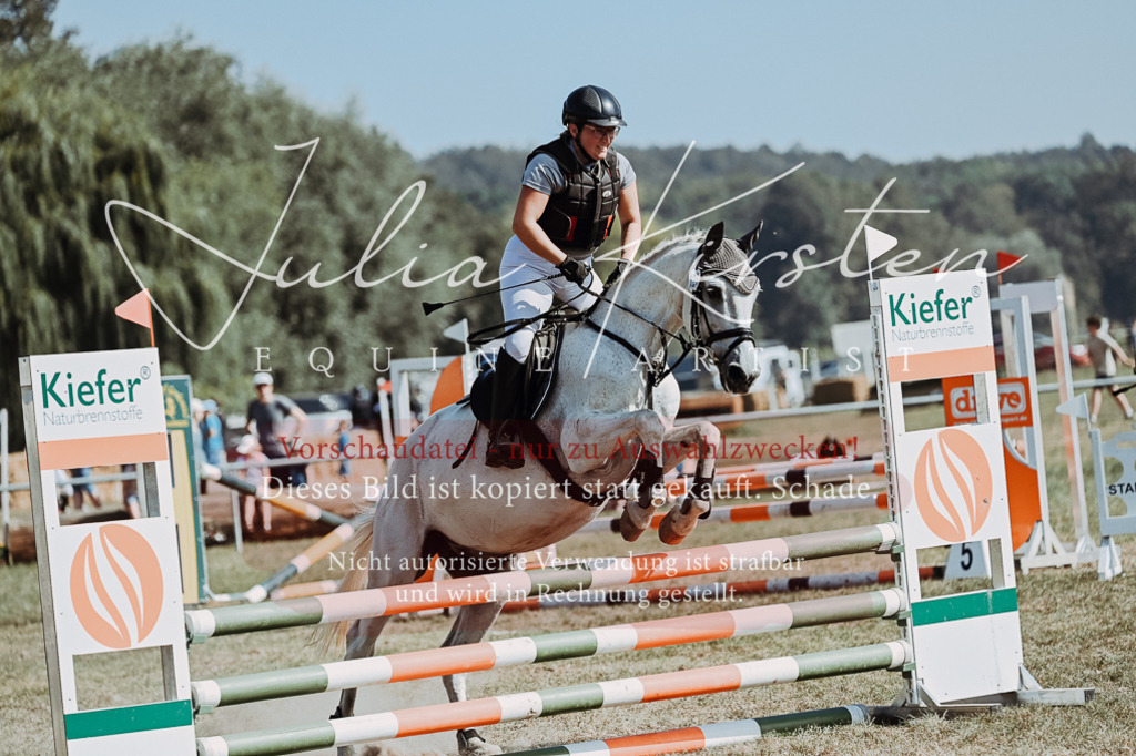 DSC_9353 | Pferde- und Turnierfotografie in Westsachsen. Pferdeportraits, Auftragszeichnungen und intuitive Kunst.
