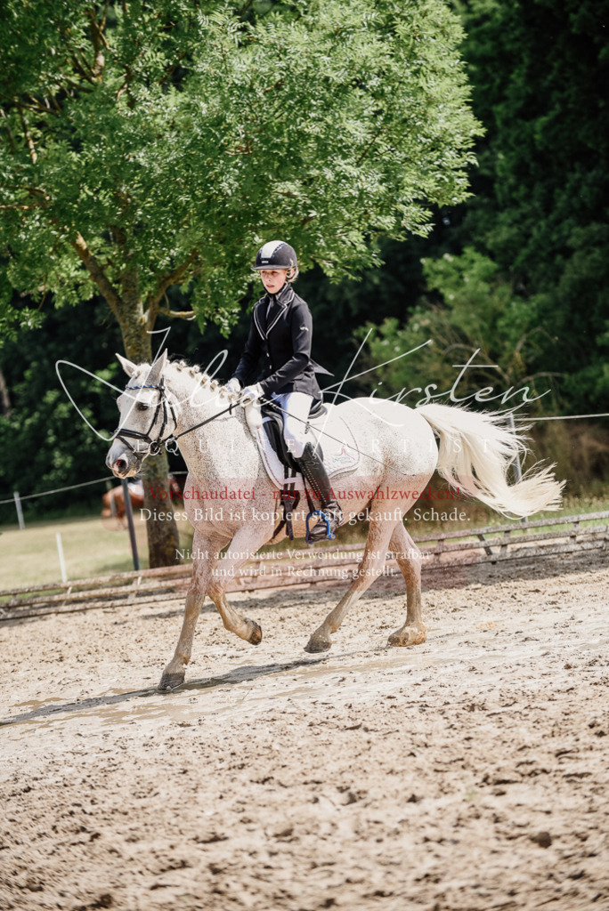 DSC_0546 | Pferde- und Turnierfotografie in Westsachsen. Pferdeportraits, Auftragszeichnungen und intuitive Kunst.