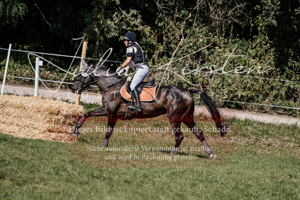 DSC_1782 | Pferde- und Turnierfotografie in Westsachsen. Pferdeportraits, Auftragszeichnungen und intuitive Kunst.