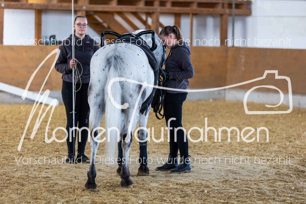 SS-Mini-028 | MomenTaufnahmen Pferdesportfotos