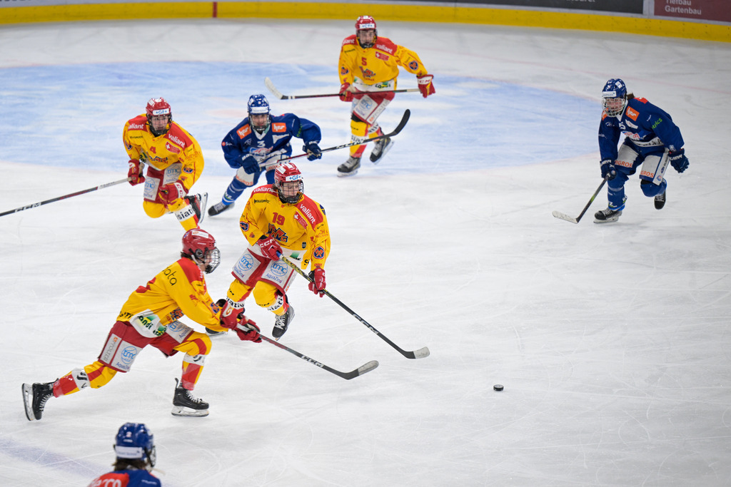ZSC Lions vs EHC Biel-Bienne Esprit - 30. März 2024 | ZSC Lions vs EHC Biel-Bienne Esprit
Swiss Life Arena, Zürich

Bild: Sportfotografie Markus Aeschimann | www.markus-aeschimann.ch - Realisiert mit Pictrs.com