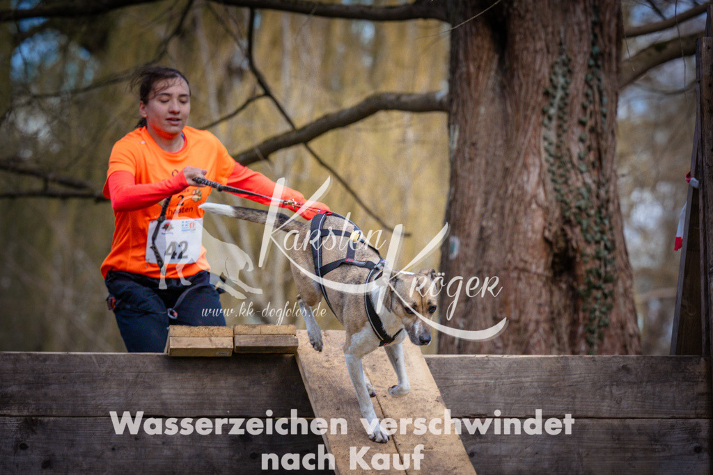 1033_ZZ97647 | kk-dogfotos