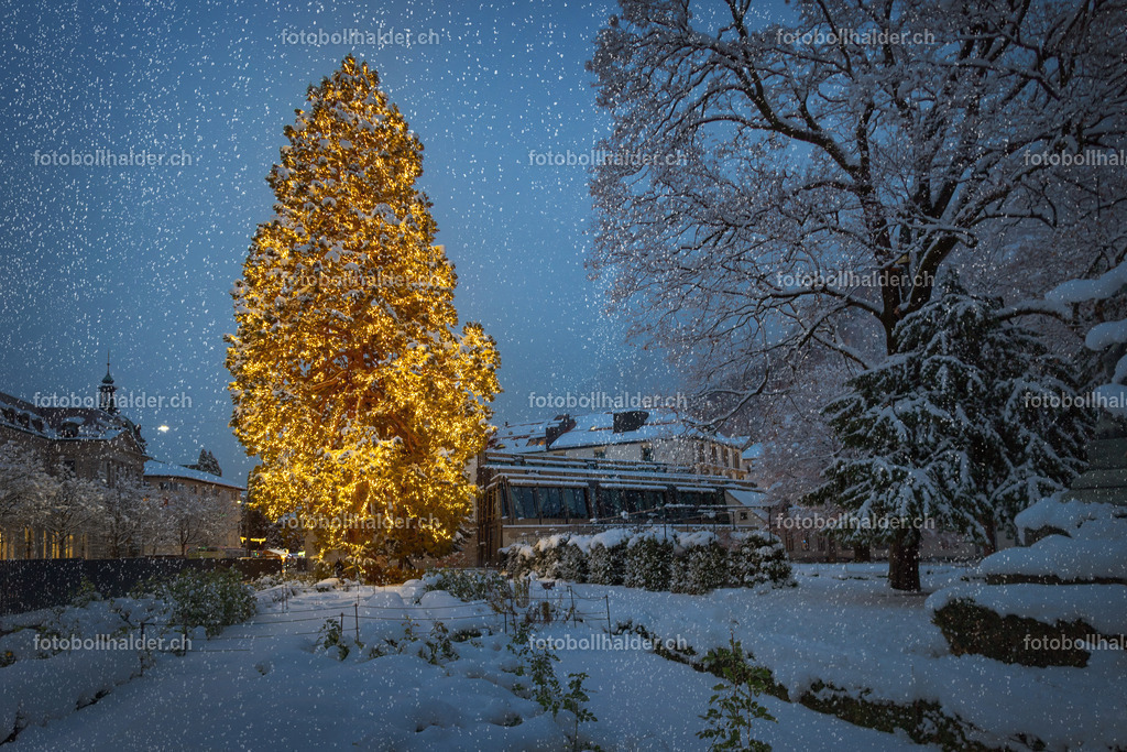 IMG_4716_1sf | Foto Bollhalder 