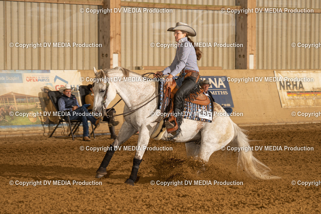 LAU00233 | dv-media-shop - Realisiert mit Pictrs.com