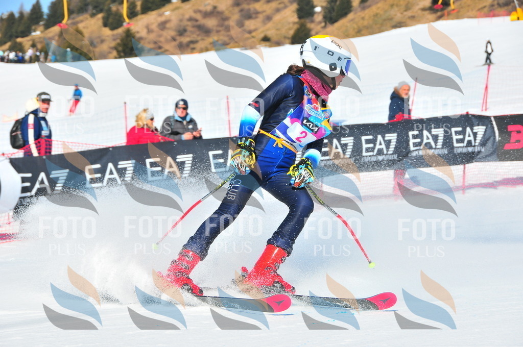 DSC_3666 | holidayphoto