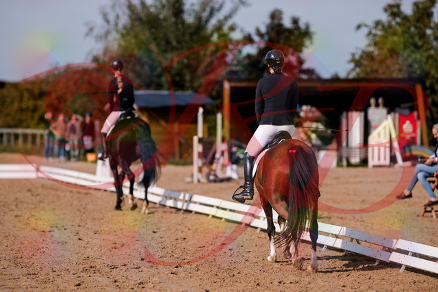 2026_10_03_Siefer-Hof_115358_Z81_92671409 | Professionelle Reitsport-, Turnier- und Eventfotografie von Robert Broda. Galerien mit ausgewählten und bearbeiteten Bildern direkt online ansehen und bestellen.