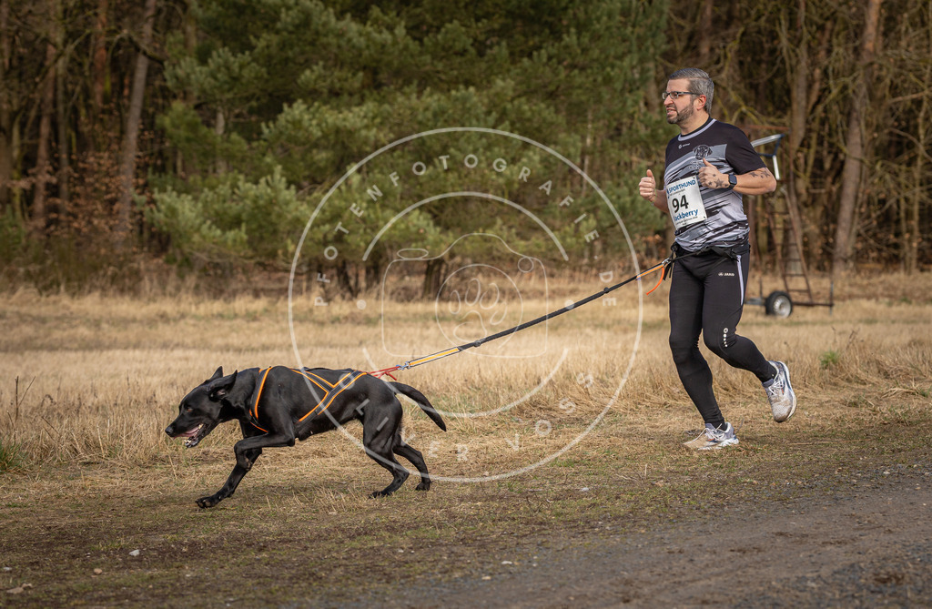 DV3A4046 | Hundefotografie, Tierfotograf, Pfotenfotografie, Fotoshooting Hund, Hunde Portrait, Hundesport, Hundeportraits, Heideshooting, Hunde, Sportfotograf, Hundefotograf, Turnierhundsport, THS,  - Realisiert mit Pictrs.com
