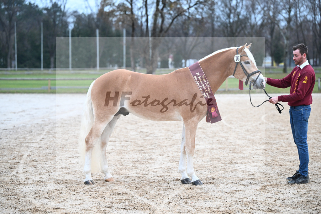 Kat-Nr. 16 nn v. Neustart_Obermeyer_48251861 | hf-fotografie - Realisiert mit Pictrs.com