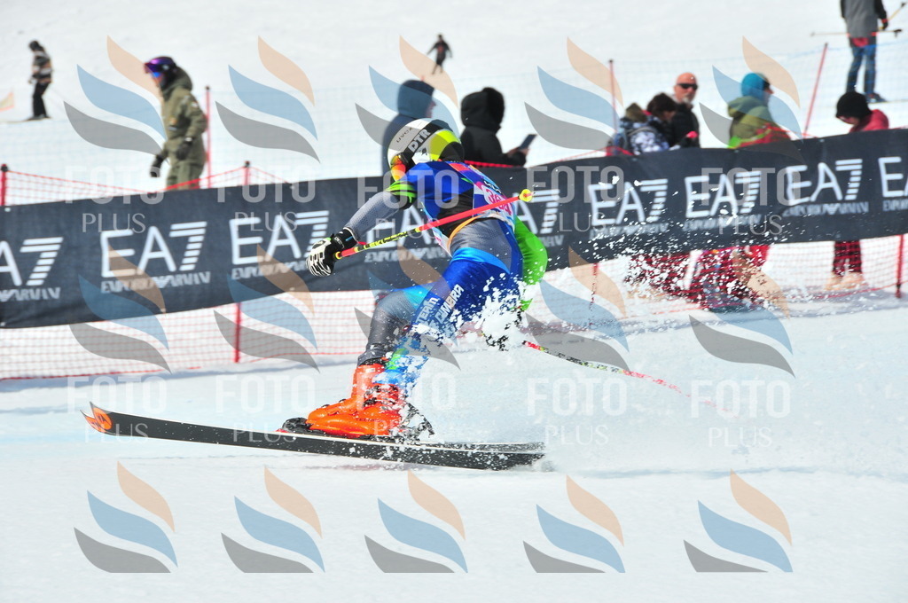 DSC_7074 | holidayphoto