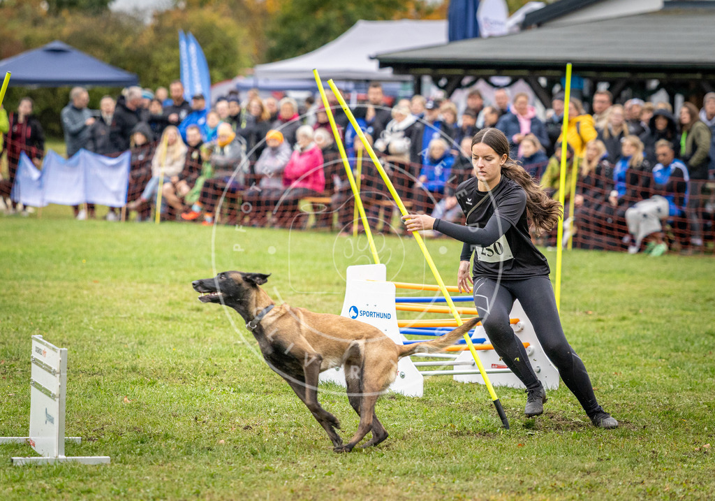 Pfotenfotografie_DV3A0679 | Hundefotografie, Tierfotograf, Pfotenfotografie, Fotoshooting Hund, Hunde Portrait, Hundesport, Hundeportraits, Heideshooting, Hunde, Sportfotograf, Hundefotograf, Turnierhundsport, THS,  - Realisiert mit Pictrs.com