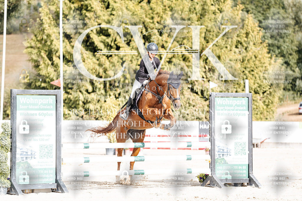CK909016 | Turnierfotografie Pferdefotografie Trier Rheinland-Pfalz Pferdesport Reitsport Tierfotografie Sportfotografie Pferdevideo Pferdevideografie Equestrianvideography equestrianphotography  - Realisiert mit Pictrs.com